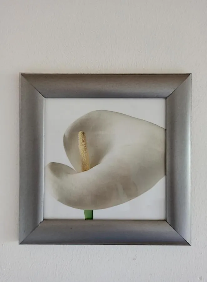 Feel At Home - Casa Sofia Lovere Apartment