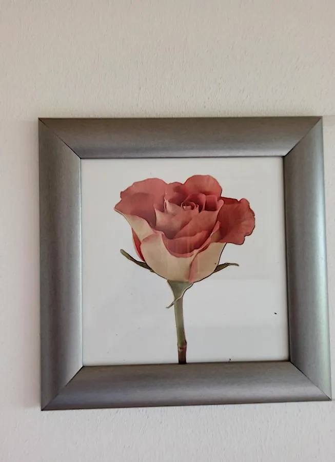 Apartment Feel At Home - Casa Sofia Lovere Italy